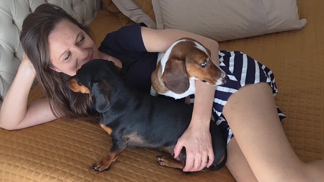 Mulher com cachorros da ra&ccedil;a duchshund 