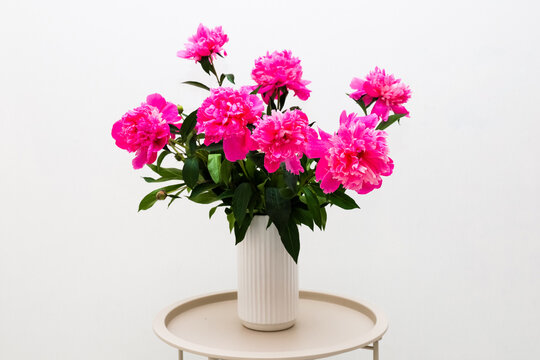 Bright peonies pink flowers arranged in a white vase on a round table with a plain background
