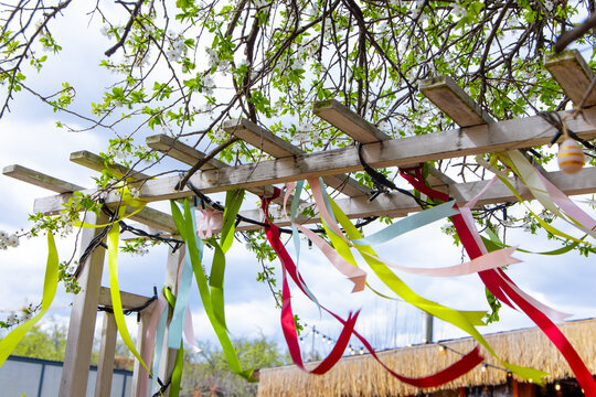 Colorful ribbons dance under bright leaves in an outdoor setting during a joyful spring celebration