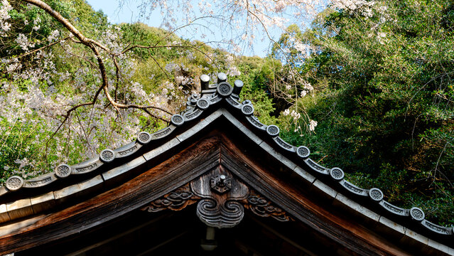 Ot oyo-jinja Shrine nestled along the Philosopher's Path