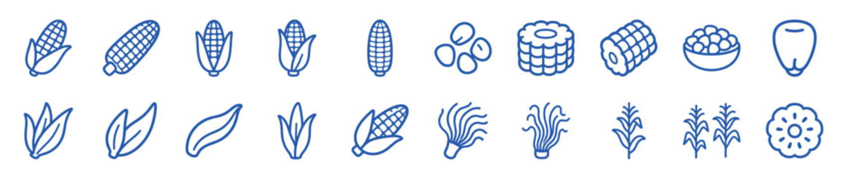 Collection of blue line art corn icons showing the vegetable in various forms, including the plant, cob with husks, individual kernels, and sliced pieces in a minimal style