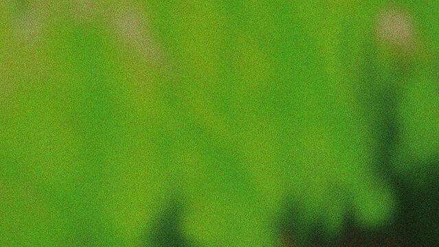 Green noise texture, abstract blurred background, soft grain gradient for web design