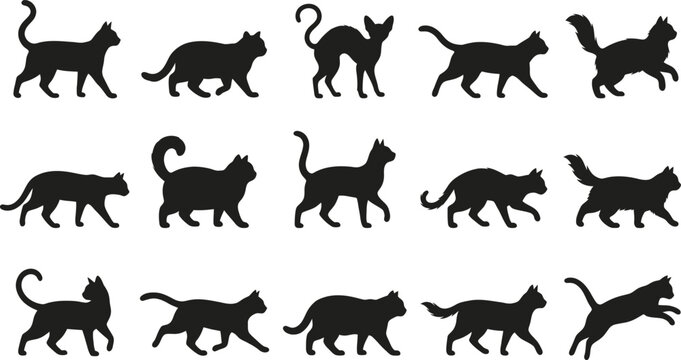 A collection of various black cat poses displayed in a creative and artistic graphic design style featuring a halloween cat silhouette