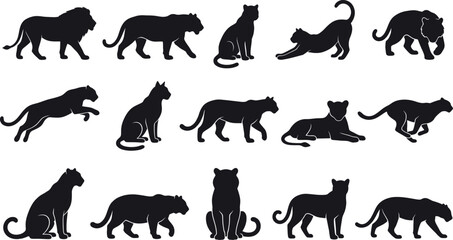 A collection of various wild big cats in different poses and actions presented as a professional black and white silhouette © Mst