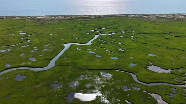 Narrow channels meander through an extensive salt marsh in Pleasant Bay, Cape Cod. Marshes provide critical habitat for many birds, fish, and marine invertebrates to feed, mate, and nest.