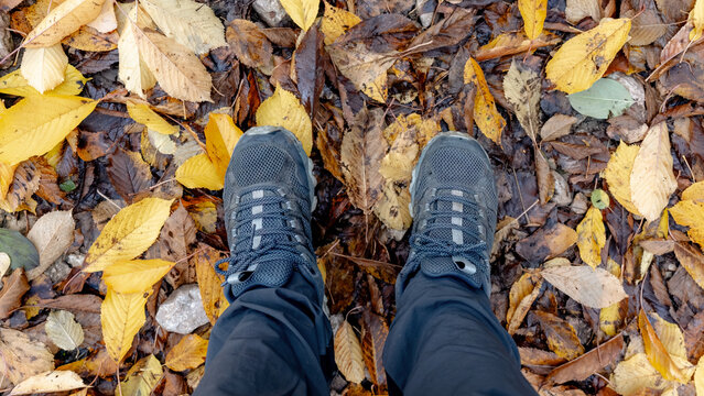 Autumn hiking in Pelegrina at Barranco del Rio Dulce