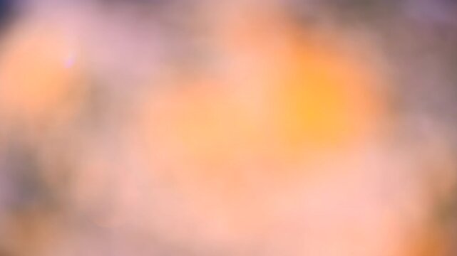 Abstract defocused lights slowly moving