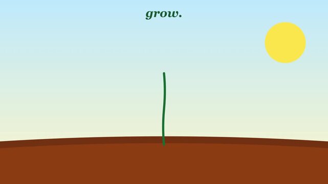 Animated flower growth concept: minimalist floral bloom with sun and text for nature, success, and development projects animation 4k