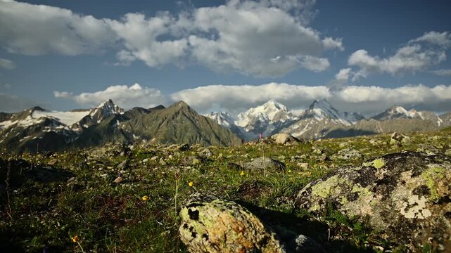 Scenic mountain landscape with rocky foreground and vibrant wildflowers