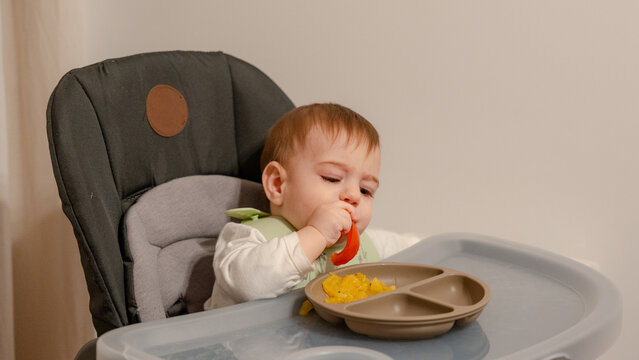 Baby eating a tomato slice in high chair at home