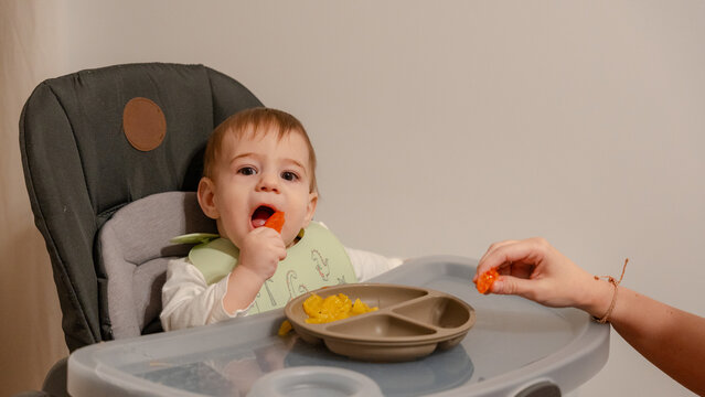 Baby eating in high chair with parent feeding finger food