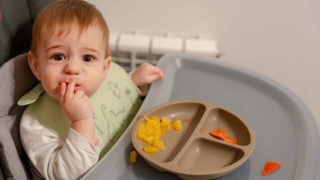 Baby self-feeding finger food in high chair at home