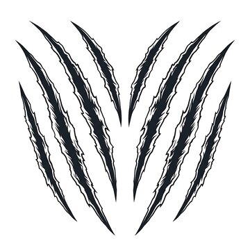 Black and white vector illustration of sharp animal claw marks isolated on a plain white background