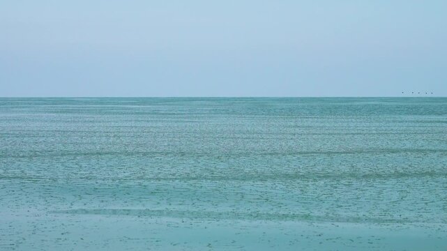 Cream ice, ice fat on Azov Sea. In calm, frosty weather, even salt water freezes, pancake ice forms, and when pores filled, ice crystals merge into flexible mass that extinguishes waves. Foam hardens