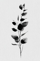 Obraz premium Minimalist black and white watercolor painting of a eucalyptus branch.
