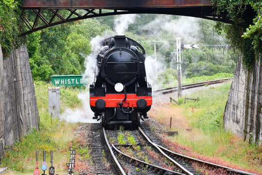 Steam  train on the railway chugs  along a narrow gauge railway in Dorset UK. Steam trains are loved by many as they remind us of the past.