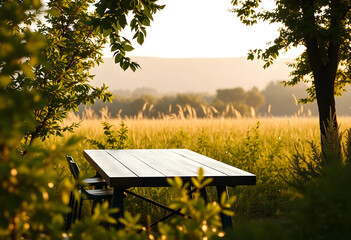 Obraz premium Empty wooden picnic table and chairs in a sunlit field at golden hour, outdoor dining and relaxation