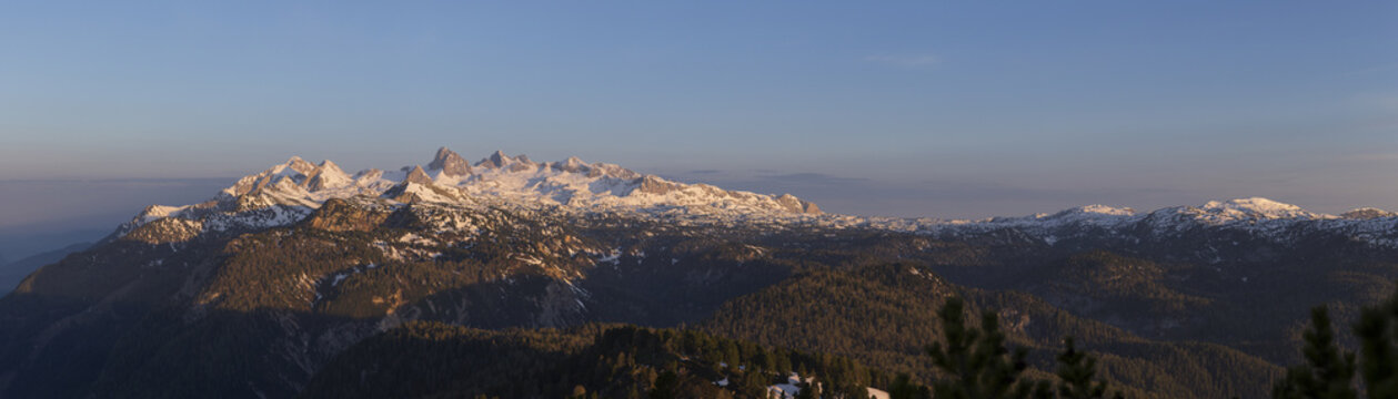 View of the snow-capped Dachstein glacier peaks illuminated by the warm golden hour light, with dense coniferous forests in the foreground, Liezen District, Styria, Austria.