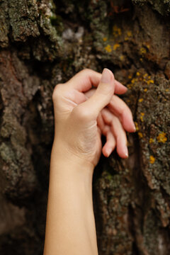 Deformed female hand affected by polyarthritis touching tree bark. Medical concept of rheumatoid arthritis, thumb joint pain, hand stiffness and rheumatology.