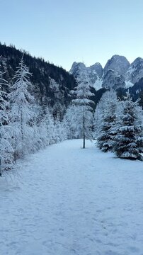 Winter mountain range with snow covered fir trees. Winter mountain landscape. Alps mountain landscape in Austria. Vertical resolution.