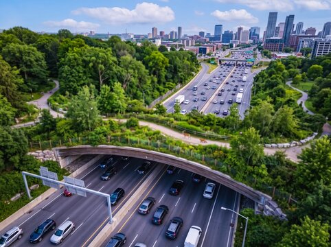 aerial view of a green wildlife crossing overpass over a busy urban highway leading toward city skyline