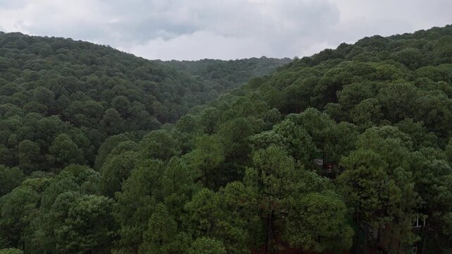 vista de vuelo con Dron en el bosque de &aacute;rboles de Mazamitla Jalisco M&eacute;xico 