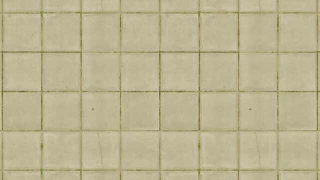Seamless loop of light concrete paving stones with subtle moss.
