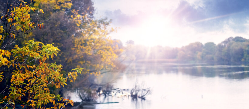 Sunlight rays through yellow autumn leaves over misty lake
