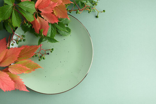 Autumn leaves and a mint green plate on a plain background