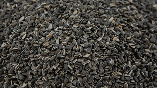 Close up of black sunflower seeds pile as natural bird feed and healthy snack background