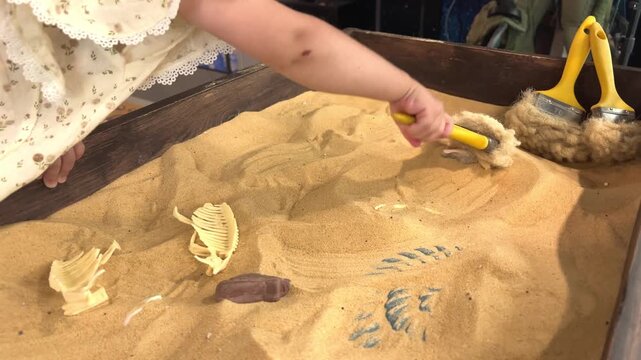 Child brushing sand to uncover imitation skeletons and shells in a museum treasure hunt, playful paleontology and hands-on learning.