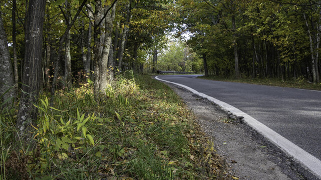 View of the Tunnel of Trees with winding asphalt road and vibrant autumn foliage along the forest edge in Harbor Springs, Michigan, United States.