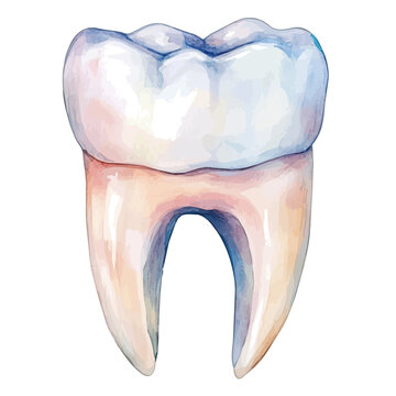 Teeth Whitener, watercolor vector painting, isolated on a white background.