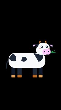 Cute cartoon cow chewing grass, 9:16 vertical transparent alpha channel vector animated cow loop