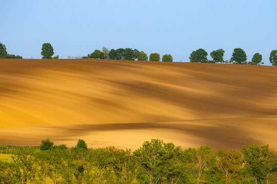 View of rolling hills with brown soil and green trees under a clear blue sky in Brno, South Moravian Region, Czechia.