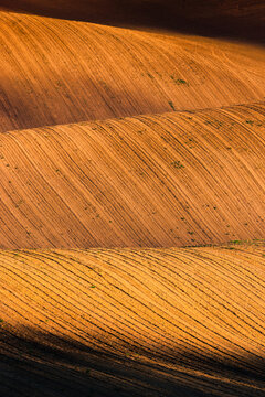 View of undulating plowed agricultural fields with rhythmic furrows and dramatic shadows cast by the golden hour light in Brno, South Moravian Region, Czechia.