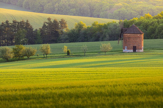 View of the historic windmill standing amidst rolling green fields and trees during the golden hour in Chvalkovice, Hradec Kralove Region, Czechia.