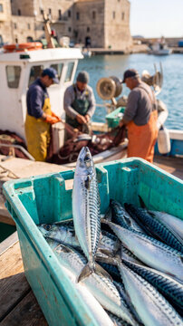 A close-up of fresh silver mackerel fish in a green plastic crate with three blurred fishermen working on a boat at a sunny Mediterranean harbor in the background.