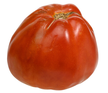 A large ripe red tomato, isolated background.