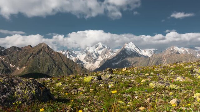 Scenic mountain landscape with vibrant flowers and majestic peaks in view