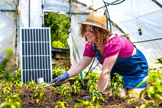 Woman gardening in greenhouse with solar panel, cultivating sustainable healthy crop