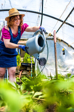 Woman watering young seedlings in a greenhouse, cultivating an organic produce farm