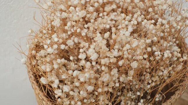 Close-up of dried baby's breath in basket