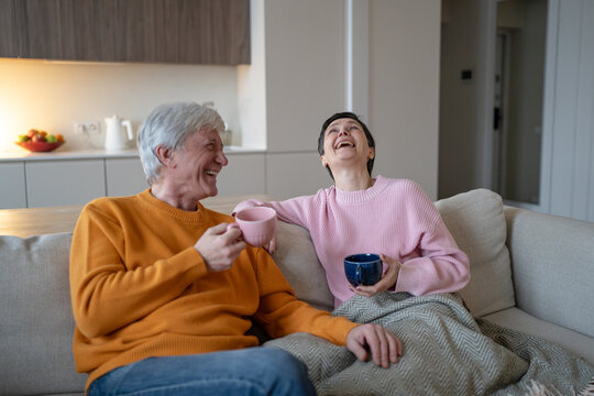 Cheerful happy senior married couple sitting resting on couch at home joking and laughing together, joyful moment in elderly marriage, healthy positive relationships, man and woman talking and smiling