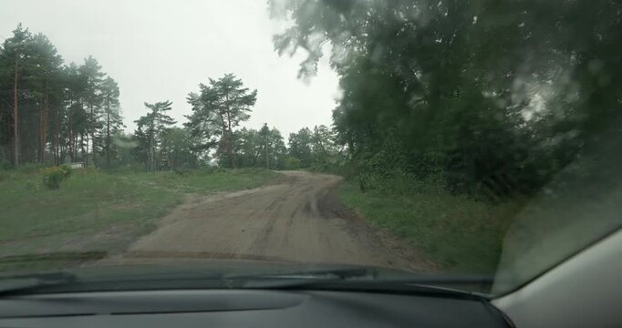 Car moving through pine woods on rainy day video footage with real sound