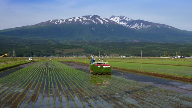 田植え中の水田と鳥海山　遠ざかって行く田植え機　ワイドショット