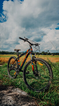 A black and orange mountain bike parked on grassy ground beside a concrete path next to a golden rice field under a dramatic cloudy sky.