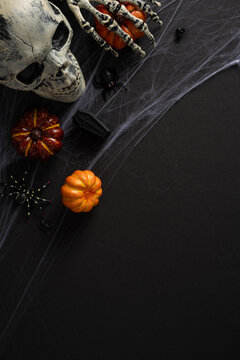Happy Halloween skull and pumpkin with cobwebs, spider and coffin decorations for spooky celebration on dark spooky vertical backdrop