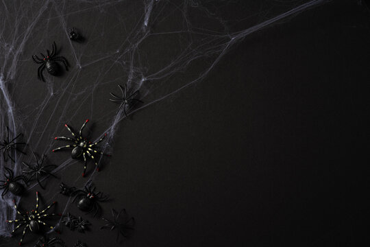 Happy Halloween spooky black spider prop and cobweb decoration on dark background for seasonal party design