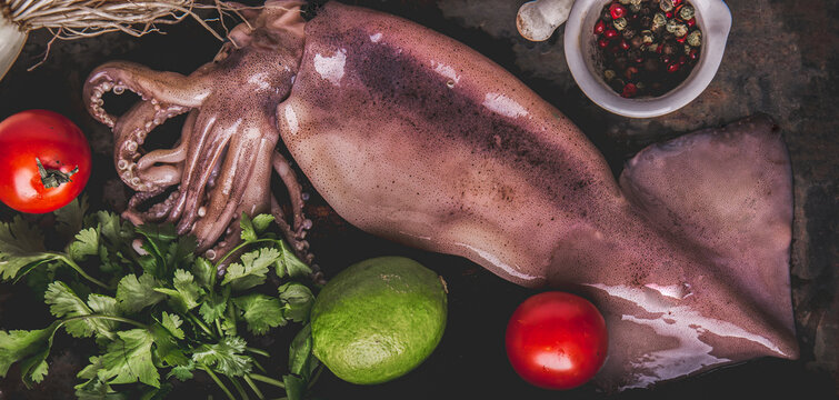 Fresh raw seafood squid or calamary and ingredients on dark background.